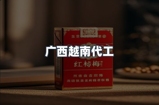 广西越南代工